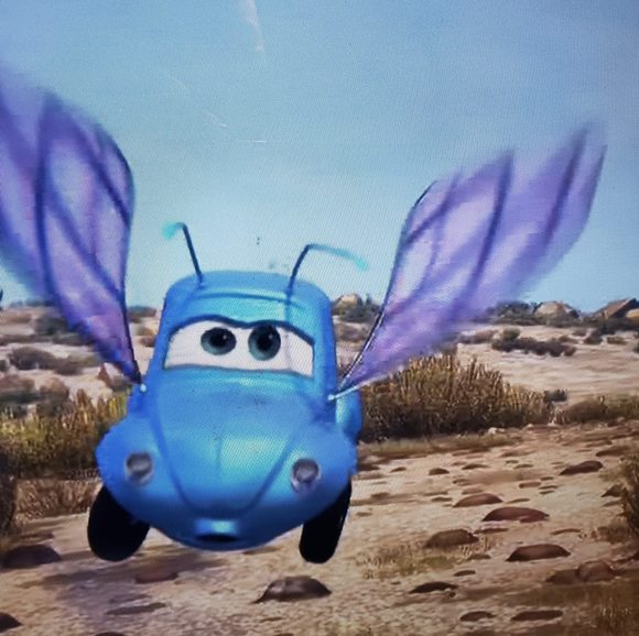 oxanaboxar